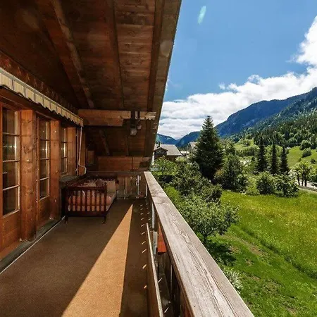Gstaad - Cozy Spacious Flat Right In The Village