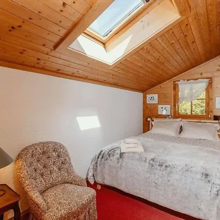 Gstaad - Cozy Spacious Flat Right In The Village Rougemont