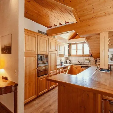 Gstaad - Cozy Spacious Flat Right In The Village *
