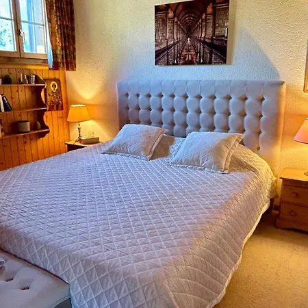דירה Gstaad - Cozy Spacious Flat Right In The Village Rougemont