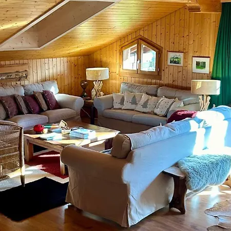 Gstaad - Cozy Spacious Flat Right In The Village