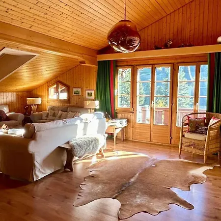 Gstaad - Cozy Spacious Flat Right In The Village *