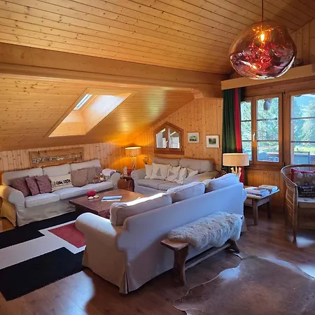 Gstaad - Cozy Spacious Flat Right In The Village Apartment