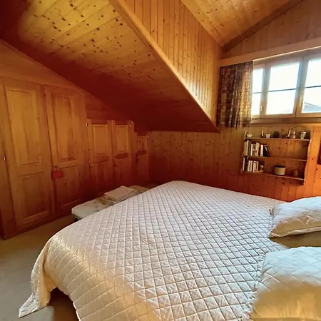Gstaad - Cozy Spacious Flat Right In The Village * Rougemont
