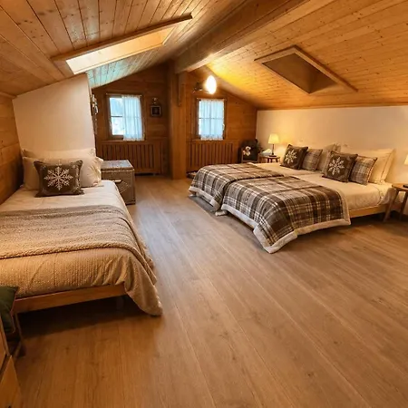 Gstaad - Cozy Spacious Flat Right In The Village *
