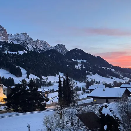 Gstaad - Cozy Spacious Flat Right In The Village Apartment