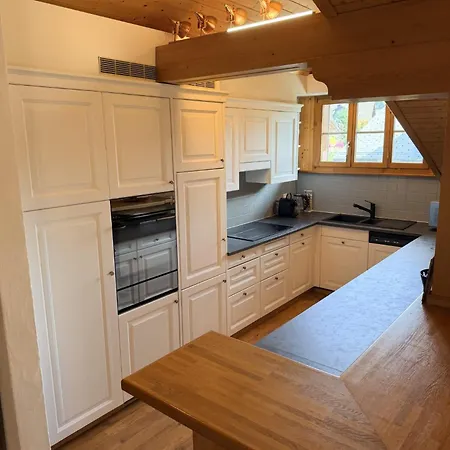 Gstaad - Cozy Spacious Flat Right In The Village Apartment *