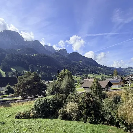 Gstaad - Cozy Spacious Flat Right In The Village Apartment