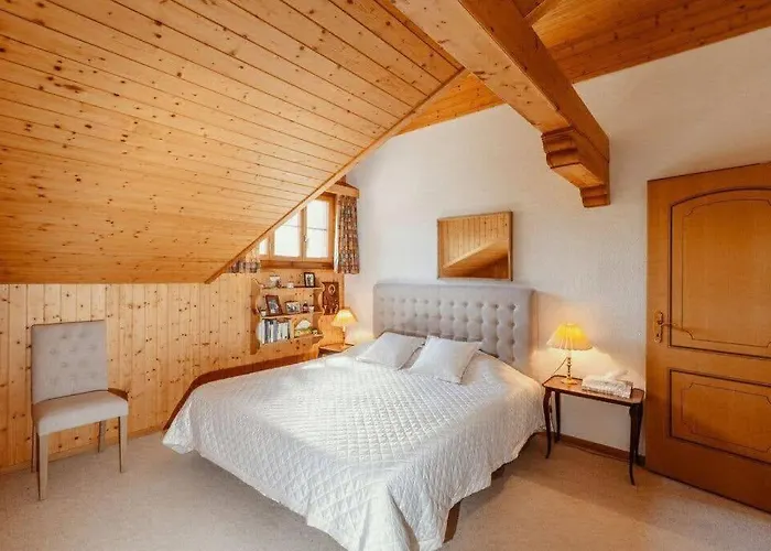 Gstaad - Cozy Spacious Flat Right In The Village *