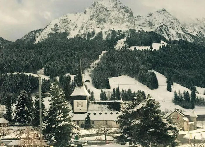 Gstaad - Cozy Spacious Flat Right In The Village *