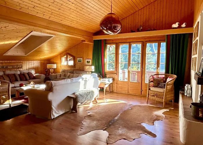 Gstaad - Cozy Spacious Flat Right In The Village *