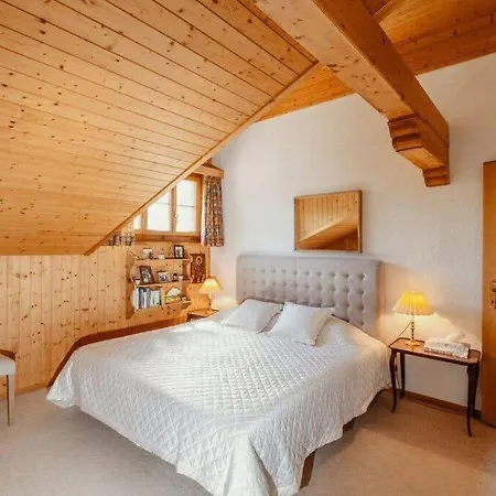 Gstaad - Cozy Spacious Flat Right In The Village *