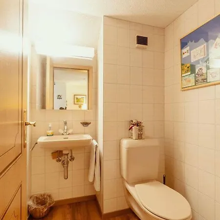 Gstaad - Cozy Spacious Flat Right In The Village Apartment Rougemont