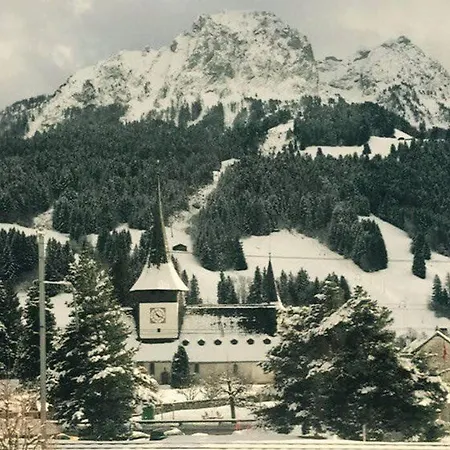 Gstaad - Cozy Spacious Flat Right In The Village *