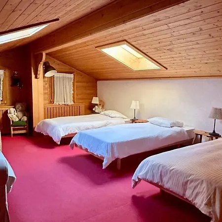 Gstaad - Cozy Spacious Flat Right In The Village Rougemont